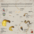 Parasite main info page