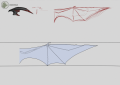 wing 1