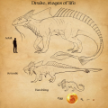 Growth stages