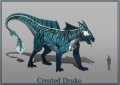 Crested drake