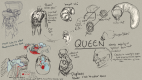 Early queen concepts