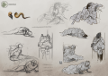 Stage 3 sketches