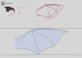 wing 2
