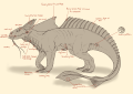 Species info